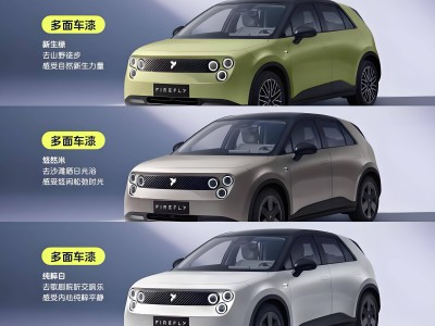蔚來螢火蟲小車上市，高配低價能否攪動小型電動車市場？
