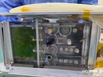 華南理工“魚航員”攜手神舟二十號(hào)，探索太空失重下的生命奧秘