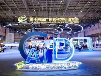 揭陽美食寶藏亮相三博會，你嘗過幾道地道的揭陽味？