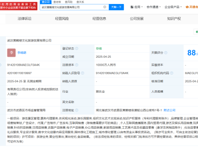 武漢黃鶴樓文旅發展公司正式成立，注冊資本高達億元