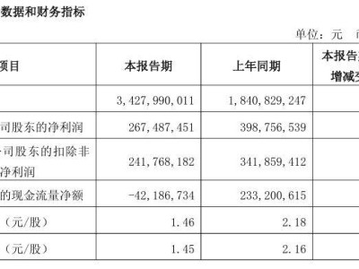 石頭科技2025年Q1營收大增86%，凈利潤下滑三成，新品類表現搶眼
