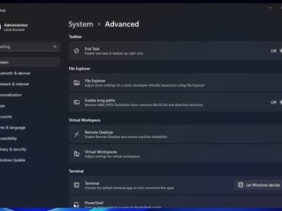 Windows 11大改版！設置應用新增“高級”頁面，功能更強大