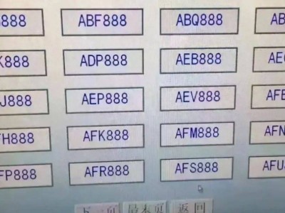 江蘇女車主智斗“888”靚號誘惑，理性放棄背后的智慧選擇！