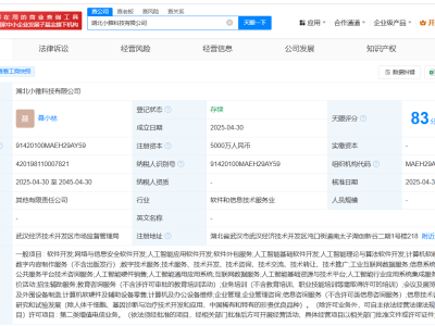 科大訊飛攜手伙伴湖北新設兩公司，注冊資本高達7000萬！