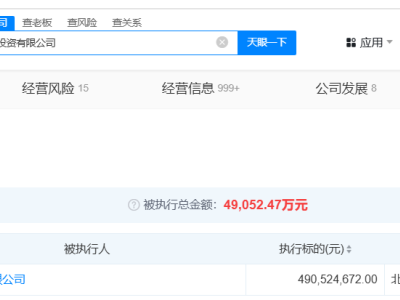 史玉柱巨人投資陷4.9億執行風波，名下資產何去何從？