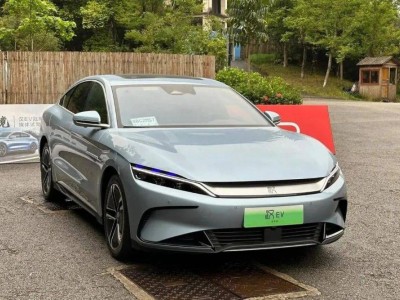 有錢人偏愛電車，普通人堅守油車，買車選擇到底該聽誰的？