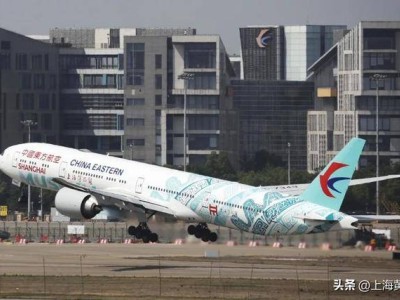 “上博號”彩繪飛機首航，萬米高空邂逅古代青銅器藝術