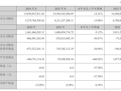 博納影業(yè)2024年業(yè)績下滑，凈虧損擴(kuò)大至8.67億，賽富減持引關(guān)注