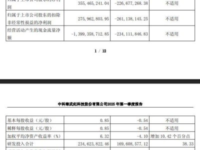 寒武紀2025年加碼研發，一季度已實現扭虧為盈