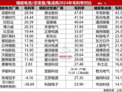 儲能行業年報透視：40萬從業者背后的萬億營收與分化格局