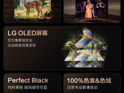 LG OLED B5系列電視上市，120Hz刷新率，補貼價5999元起售！