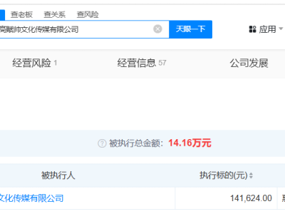 幫700名主播逃稅公司成被執行人 幫700名主播逃稅公司等被執行14.1萬