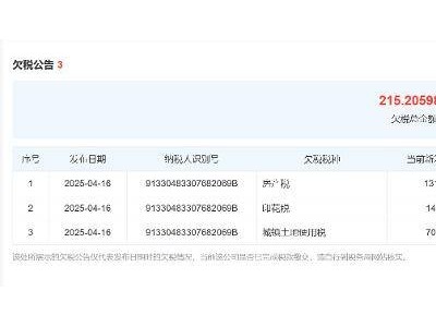 哪吒汽車母公司陷破產審查風波，律師：申請破產不等于真正破產