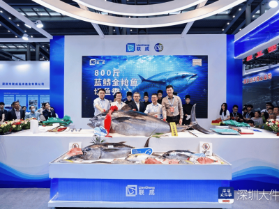 藍鰭金槍魚“魚王”亮相漁博會，聯成漁業展現遠洋捕撈實力