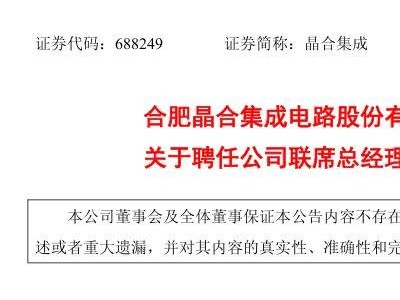 晶合集成雙總經理模式，半導體代工領域新變革？