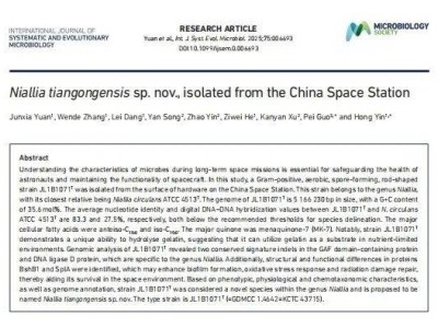 中國空間站發現微生物新成員：“天宮尼爾菌”亮相太空科研舞臺