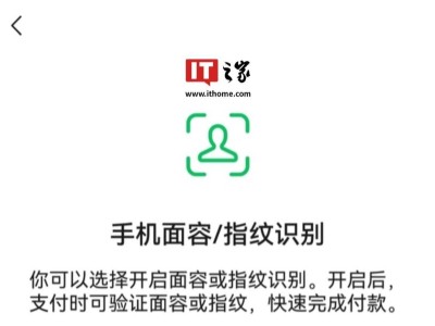 微信鴻蒙版人臉指紋支付慢啟，安全考量下的謹慎步伐