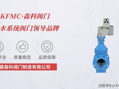 電動水泵房閘閥：國家政策力挺，行業迎來發展新機遇