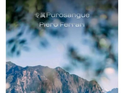 小米新車發布“撞色”法拉利，網友喊話皮耶羅·法拉利“錯峰”慶生？
