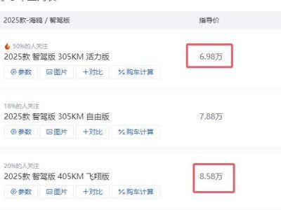 比亞迪海鷗頂配版，為何成為經濟實力尚可車主的首選？