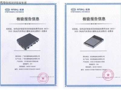 比亞迪動(dòng)力電池技術(shù)再突破，刀片電池與閃充電池雙雙領(lǐng)先通過新國(guó)標(biāo)！