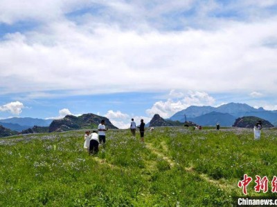 端午新疆S101公路：自駕游熱潮涌動天山地理畫廊
