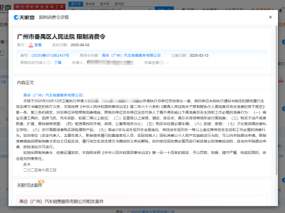 高合汽車廣州公司及丁磊被限消