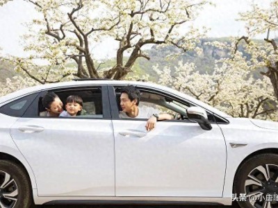 中年購車指南：現階段，油車是否仍是優選？