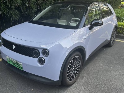 螢火蟲小車，能否成為年輕人新寵的代步潮流？