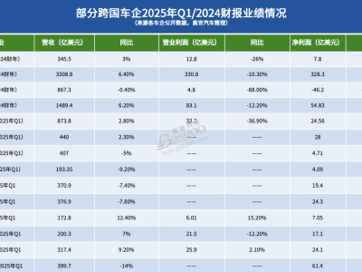 中國車企高負債率下的穩健發展與內卷挑戰