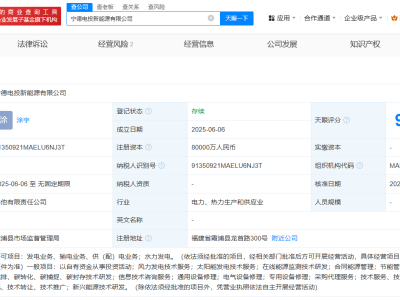 中國電力閩東電力等成立寧德電投新能源公司  注冊資本8億