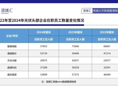 隆基綠能：裁員近半難止頹勢，光伏巨頭何去何從？