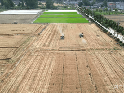 智能科技賦能“三夏” 農機北斗共繪豐收新畫卷