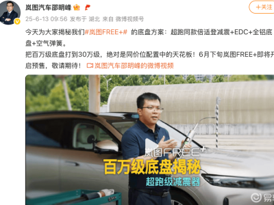 嵐圖FREE+全系標配倍適登EDC，駕乘體驗能否媲美豪華品牌？