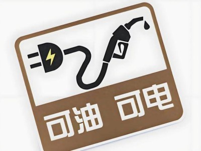 “可油可電”車主心聲：理想很豐滿，現實卻讓人頭疼！