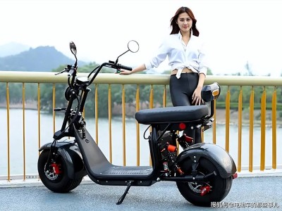 2025年換電動車最佳時機？12月前后購車差異大，性價比之選何時出手？