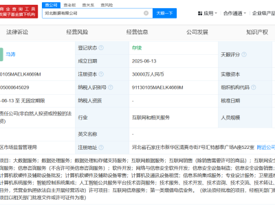 河北斥資3億打造數據新貴，涉足大數據與AI領域