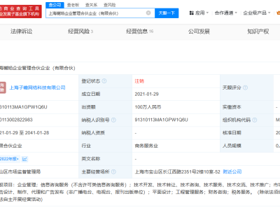 李雪琴與舉報人現合伙人曾合開企業