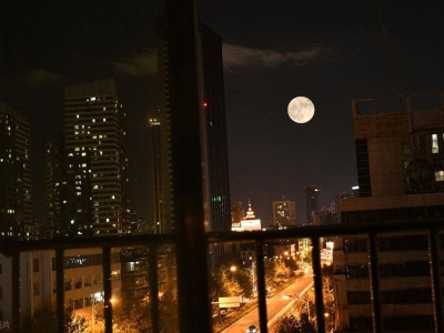月光為信，你我共賞，思念穿越萬里，只在窗前停泊