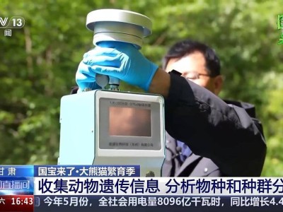 科技助力！大熊貓國家公園科研團隊探尋野生大熊貓種群奧秘