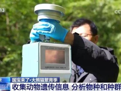 科技助力！大熊貓國家公園白水江園區揭秘野生大熊貓種群分布