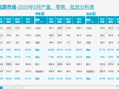 插混未來何在？電動化轉型中的“普及者”能否持續發光？