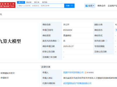 嵐圖汽車申請鯤鵬九算大模型商標 嵐圖汽車申請鯤鵬大腦商標