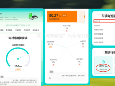 掌握新能源車電池健康，四種實用查詢方法大揭秘