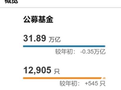 2025上半年公募基金規(guī)模變動(dòng)：華夏領(lǐng)跑，交銀施羅德大幅縮水！