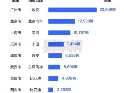 2024網(wǎng)約車市場(chǎng)風(fēng)云：比亞迪新能源技術(shù)領(lǐng)跑，重塑行業(yè)標(biāo)準(zhǔn)
