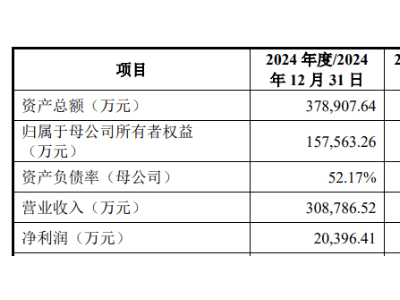 至信股份沖刺上交所IPO，西南地區民營汽車零部件生產領軍企業