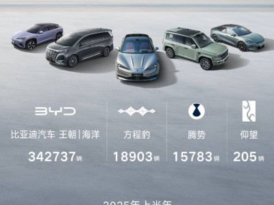 2025上半年國產車銷量盤點：比亞迪領跑，一汽奔騰異軍突起
