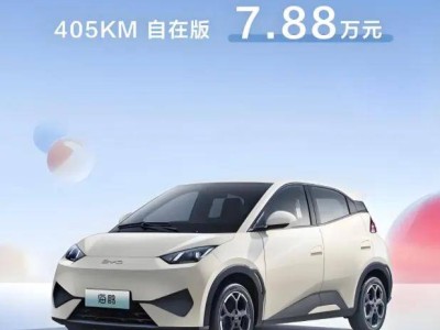 純電小車市場回暖競爭加劇，比亞迪海鷗、吉利星愿引領新風尚