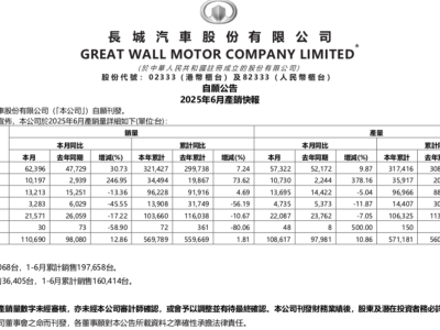 長(zhǎng)城汽車(chē)新能源挑戰(zhàn)加劇，下半年策略成焦點(diǎn)